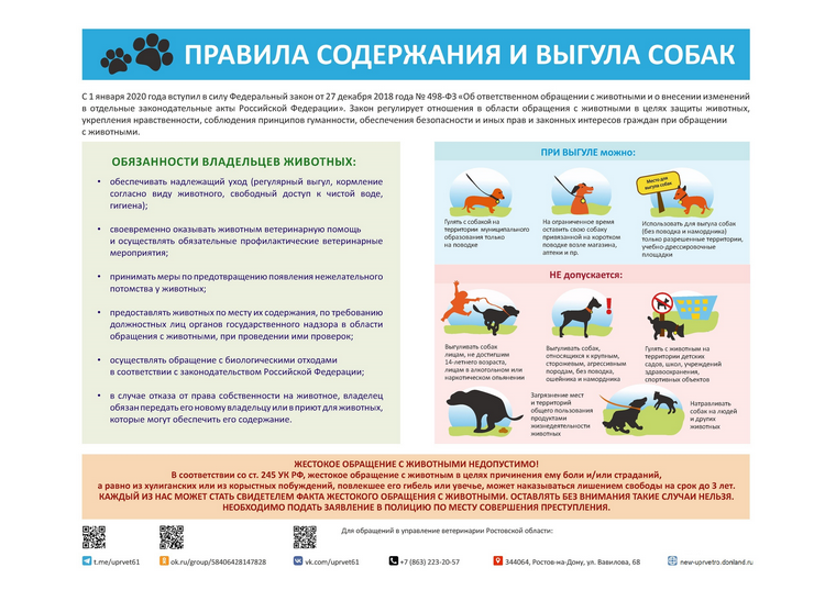 Правила содержания и выгула собак